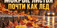 Мокрые листья – почти как лёд - Городское поселение Октябрьское