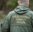 В Воронежской области проводится процессуальная проверка по факту гибели мужчины в результате пожара - Следственный комитет