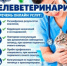 Информируем жителей города - Администрация г. Лыткарино
