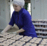 На 43,4% вырос экспорт вологодской агропромышленной продукции. - Кичменгско-Городецкий муниципальный округ