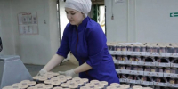 На 43,4% вырос экспорт вологодской агропромышленной продукции. - Кичменгско-Городецкий муниципальный округ