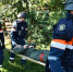 Фото: пресс-служба администрации Северского района - НИА-Кубань