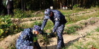 Росгвардейцы приняли участие во всероссийской акции по восстановлению лесов в Тамбовской области - Росгвардия