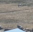 В Самарской области пресекли 16 нарушений миграционного законодательства - НеСлухи.РФ