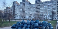 В Тамбове выберут лучших участников субботников - Комсомольская Правда