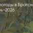 Поделитья во ВКонтакте - Братская Студия Телевидения