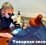 Увеличить - ТПП Нижегородской области