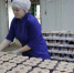 На 43,4% вырос экспорт вологодской агропромышленной продукции - Правительство Вологодской области