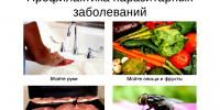 Профилактика гельминтозов - Город Губаха