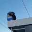В Тольятти подростки от скуки повредили остановку - Площадь Свободы