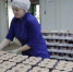 На 43,4% вырос экспорт вологодской агропромышленной продукции. - Грязовецкий муниципальный округ