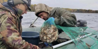cherinfo.ru - Cher-Poisk.Ru