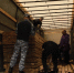 Фото: пресс-служба Губернатора и Правительства Архангельской области - Газета Вельские вести