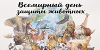 4 октября - Всемирный день защиты животных - Роспотребнадзор