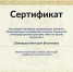 Студенты СПО ЮУрГАУ приняли участие в Международном молодёжном конкурсе «Вместе против коррупции!» - ЮУрГАУ
