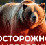 Департамент природных ресурсов и экологии Ивановской области информирует - Южский район