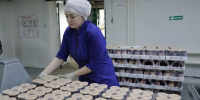 На 43,4% вырос экспорт вологодской агропромышленной продукции - Региональное Агентство Новостей