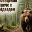 Правила поведения при встрече с бурым медведем - Кинешемский муниципальный район