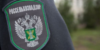 Разъяснение Управления Россельхознадзора по Республике Дагестан относительно правил борьбы с коричневым мраморным клопом - Россельхознадзор
