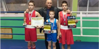 Традиционный турнир по боксу состоялся в Кольчугино - ЗАТО город Радужный