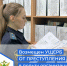 В Кингисеппском районе должник погасил 450 тысяч рублей ущерба после ареста счетов - 47Channel.Ru
