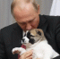 Владимиру Путину сегодня исполняется 74 года - Блокнот Волжского