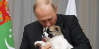 Владимиру Путину сегодня исполняется 74 года - Блокнот Волжского