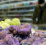 Для пенсионеров могут создать единую систему скидок на продукты и лекарства - Info-Rm.Com