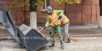 Убирать или оставить: в Брянске запустили опрос о судьбе осенней листвы - Газета Брянские новости