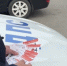 Госавтоинспекция усилит контроль на пешеходных переходах в Белгородской области - Сетевое издание Победа 31