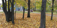 Осенний парк в Петрозаводске. - Петрозаводск говорит