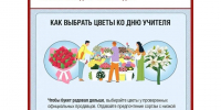 Рекомендации Роспотребнадзора: как выбрать цветы ко Дню учителя. - Красногвардейский район