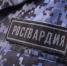 Росгвардейцы задержали двух череповчан, устроивших скандал в увеселительном заведении - Росгвардия