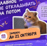 Увеличить - Комитет юстиции