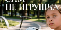СИМ — не игрушка - Камская новь