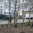 В Пензе 10 октября пройдет общегородской субботник - Progorod58.Ru