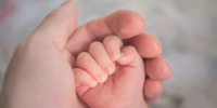 С начала года в Краснодарском крае родилось около 1,2 тысячи детей благодаря ЭКО по полису ОМС - Кубанские Новости