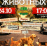 Благотворительный концерт - Управление ветеринарии