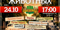 Благотворительный концерт - Управление ветеринарии