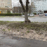 В рязанском регионе ночью похолодает до 1 градуса - ИА МедиаРязань