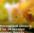 В Ростовской области с 1 по 10 октября проходит Декада пожилых людей - Министерство труда и соц.развития