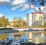 Во Владимире продолжается благоустройство Соловьиного пруда - Progorod33.Ru