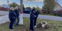 Заместитель Главы Светлана Аргунова провела пеший обход - Павлово-Посадский район