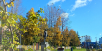 В сквере Защитников Отечества в Великом Новгороде появится «живая изгородь» из спиреи - Газета Новгород