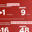 За неделю мошенники похитили у белгородцев свыше 20 млн рублей - Belnovosti.Ru
