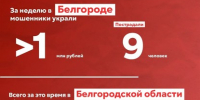 За неделю мошенники похитили у белгородцев свыше 20 млн рублей - Belnovosti.Ru
