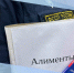 Уклонение от уплаты алиментов привело к уголовному делу — долг в 545 000 рублей погашен - УФССП России по Чувашской Республике