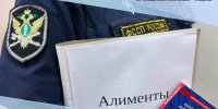 Уклонение от уплаты алиментов привело к уголовному делу — долг в 545 000 рублей погашен - УФССП России по Чувашской Республике