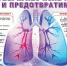 Социальная профилактика туберкулеза - Кизилюртовский район