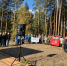 Рассказовский округ присоединился к Всероссийской акции "Сохраним лес" - OnlineTambov.Ru